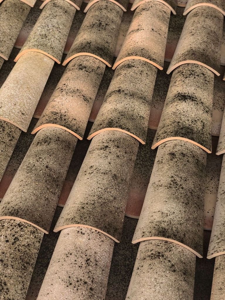 Curved Aitana Roof Tile Image 3